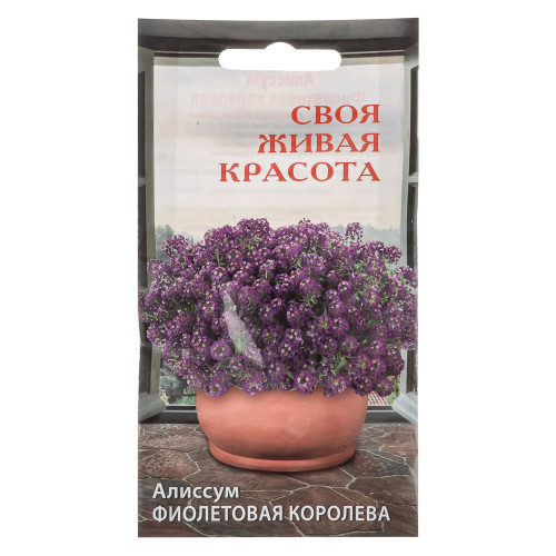 Семена Алиссум Фиолетовая королева до 15см 5шт