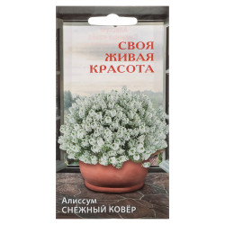 Семена Алиссум Снежный ковер до 15см 0,1гр