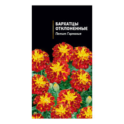 Семена Бархатцы отклоненные махровые Петит Гармония. Двухцветные 0,2 гр