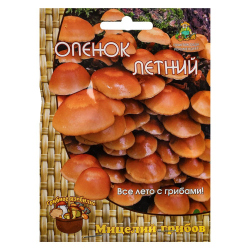 Мицелий грибов Опенок летний 12шт