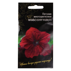 Семена Петуния Многоцвет. Мамбо Бургунди F1 бел. св-руб.с тем-руб.центр в виде звезды 7 шт