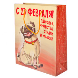 Пакет подарочный бумажный 27х23х8см, "С 23 февраля" Design GC