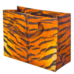 Пакет подарочный бумажный 25x19x11см, "Шик", 2 дизайна