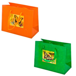 Пакет подарочный бумажный 23x18x10см, "Аппликация", 2 дизайна, арт.535